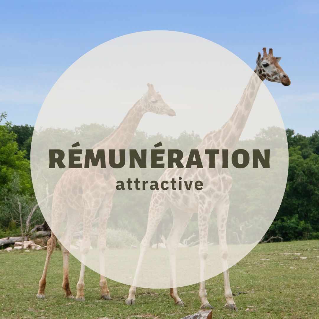 Rémunération attractive