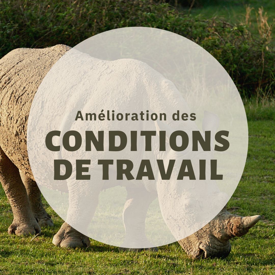 Amélioration des conditions de travail