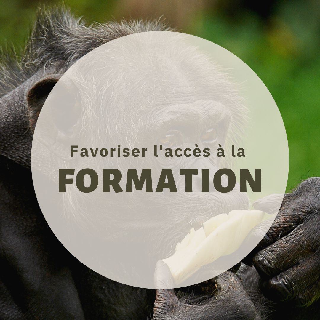Favoriser l’accès à la formation